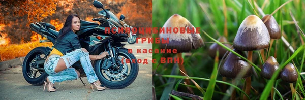 apvp Белоозёрский