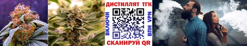 нарко площадка наркотические препараты  Макаров  ТГК концентрат 