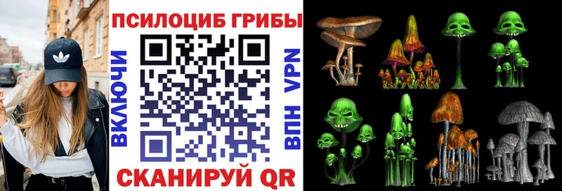 Псилоцибиновые грибы прущие грибы  Макаров 